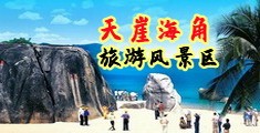 黄色特级现代录像片《红楼梦》海南三亚-天崖海角旅游风景区